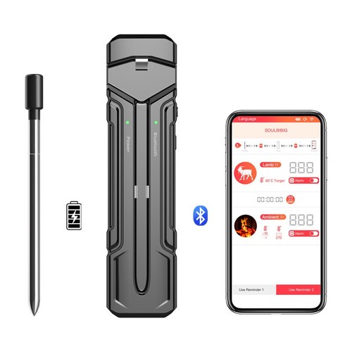 Bluetooth probes meat - 1,